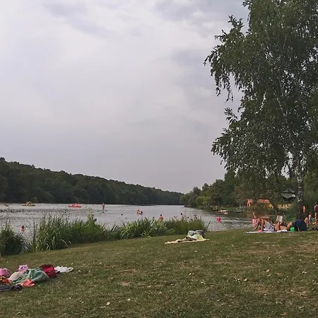 Tófény őrségi *
